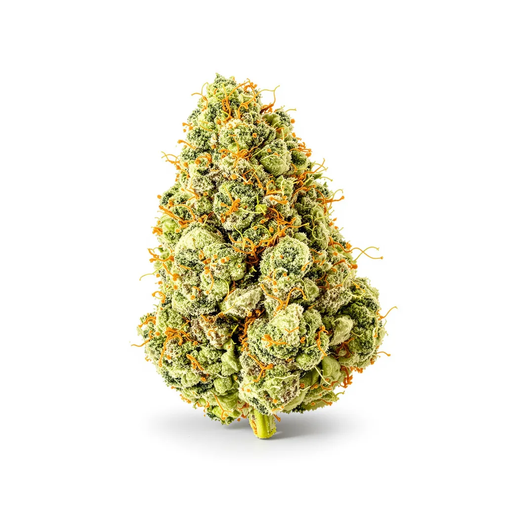 Ambrosia 16% indica / 84% sativa flower with visible trichomes