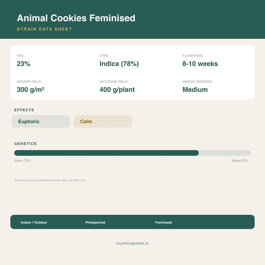 Animal Cookies 78% indica / 22% sativa flower with visible trichomes