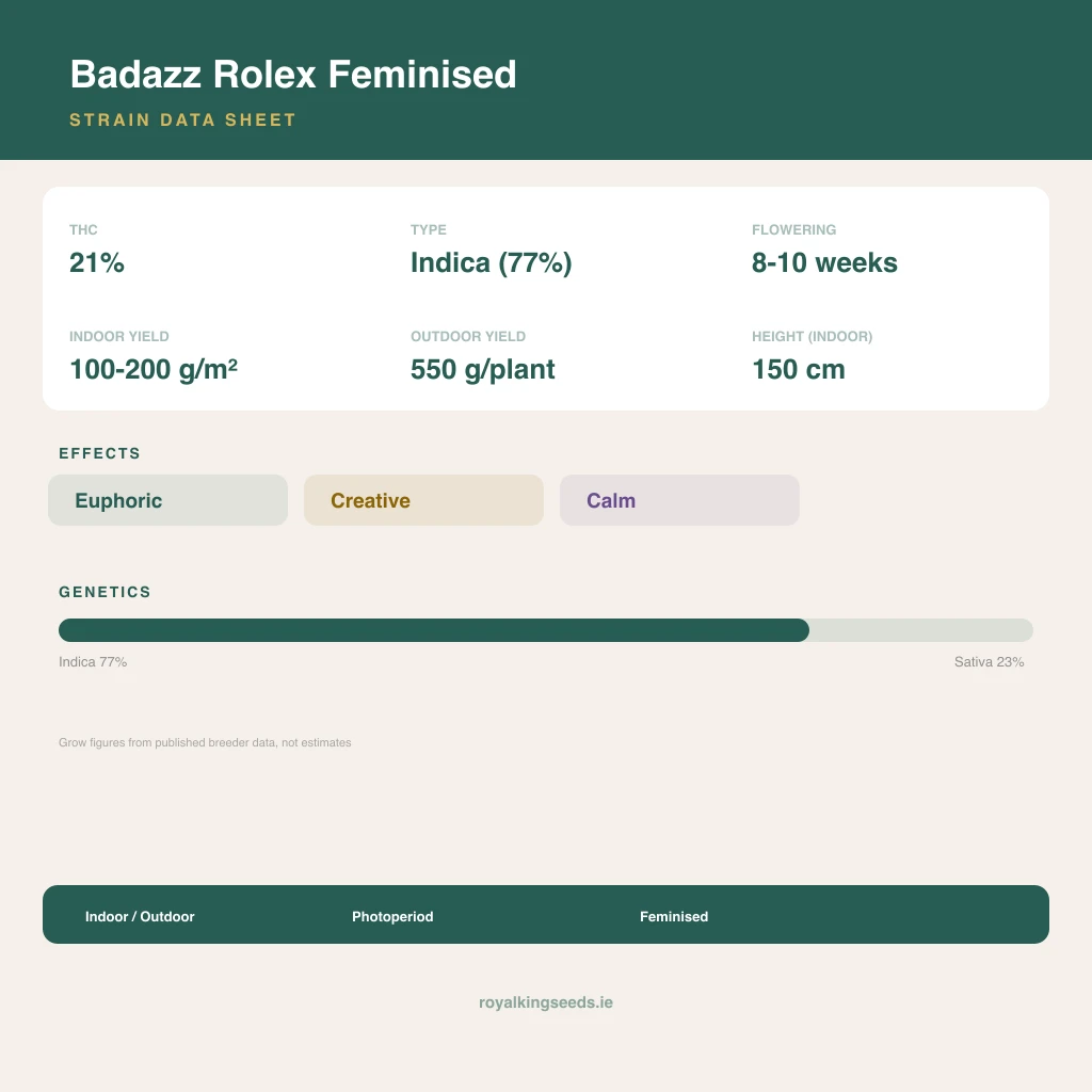 Badazz Rolex 77% indica / 23% sativa flower with visible trichomes
