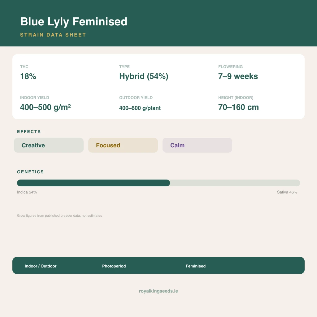 Blue Lyly 54% indica / 46% sativa flower with visible trichomes