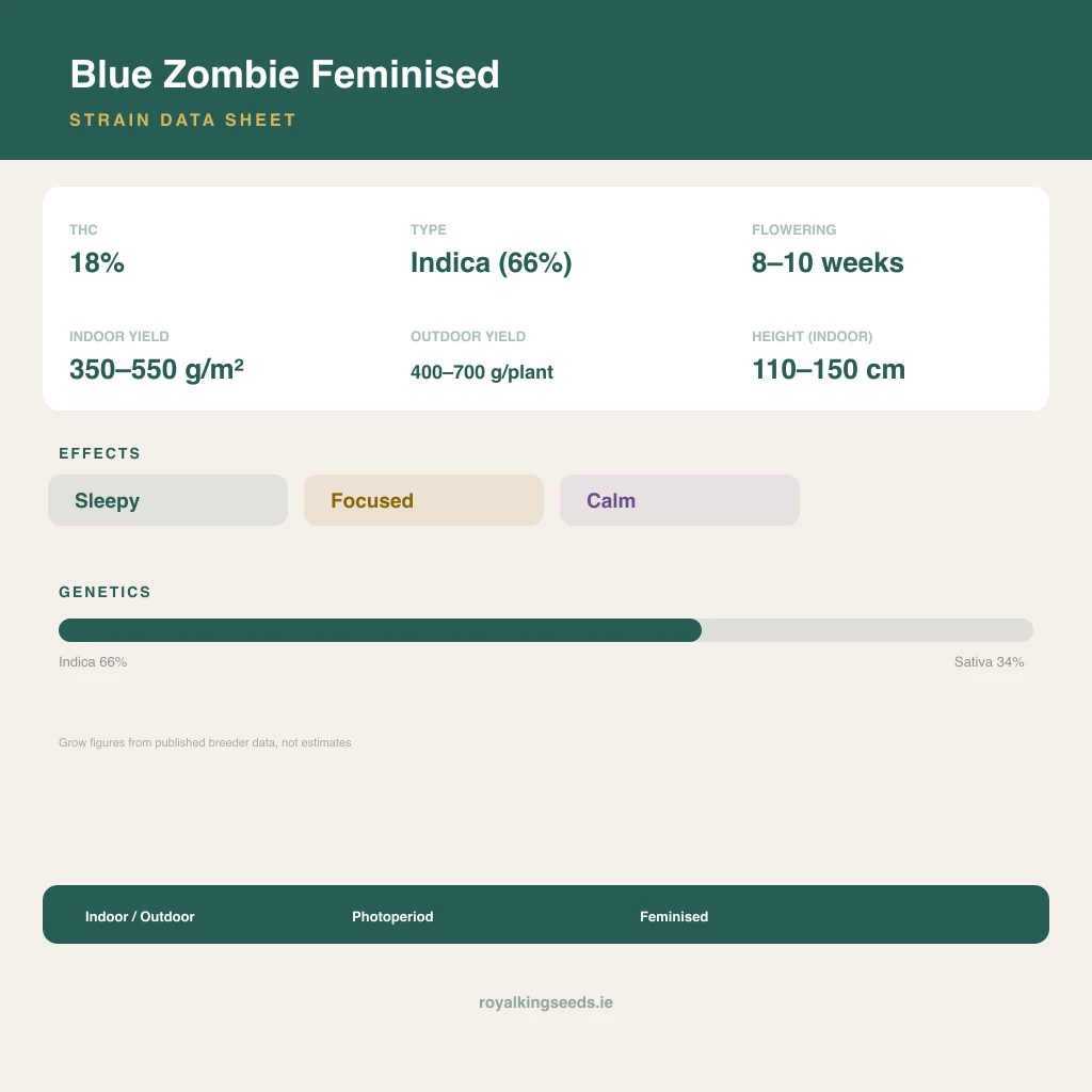 Blue Zombie 66% indica / 34% sativa flower with visible trichomes