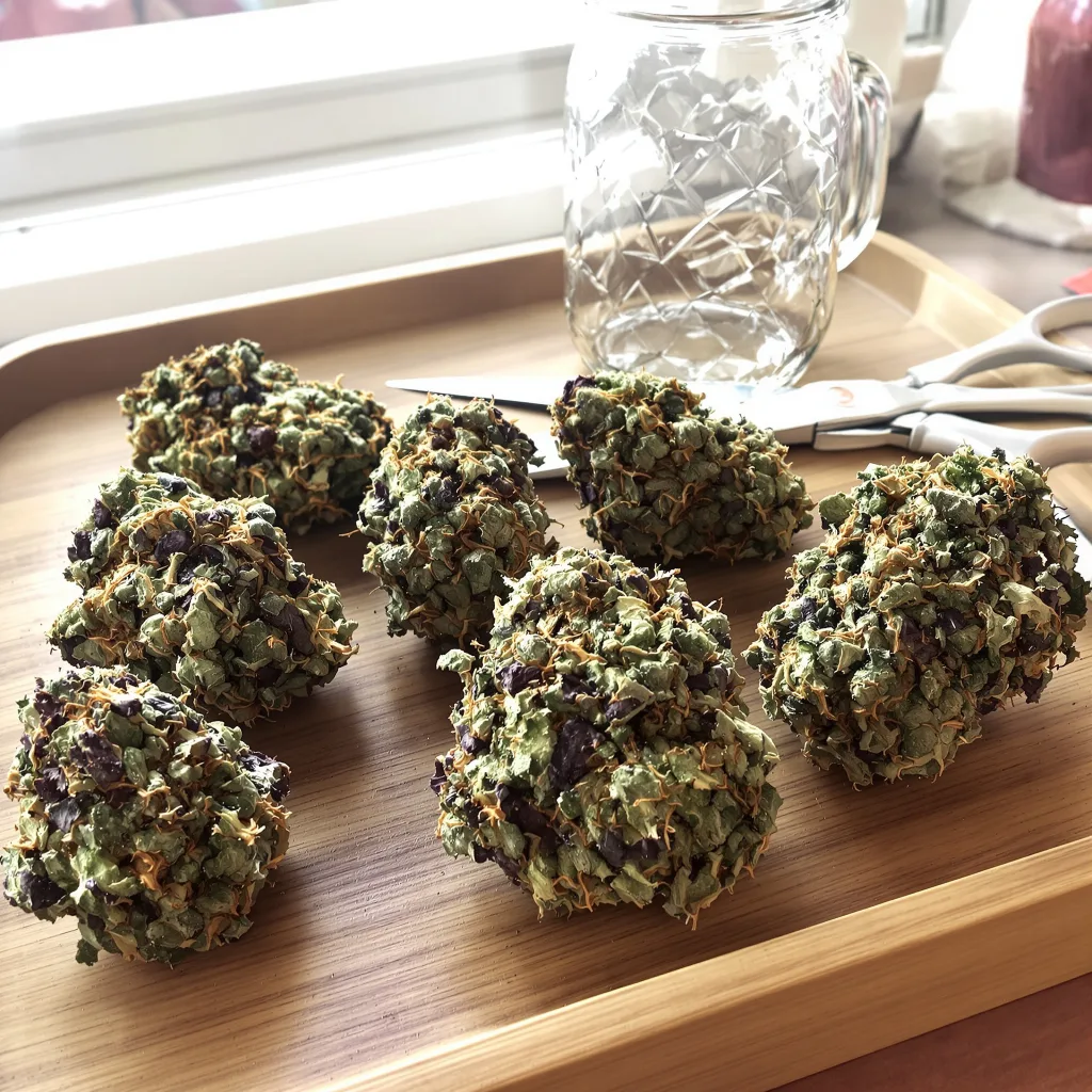 Blueberry Kush 80% indica / 20% sativa flower with visible trichomes