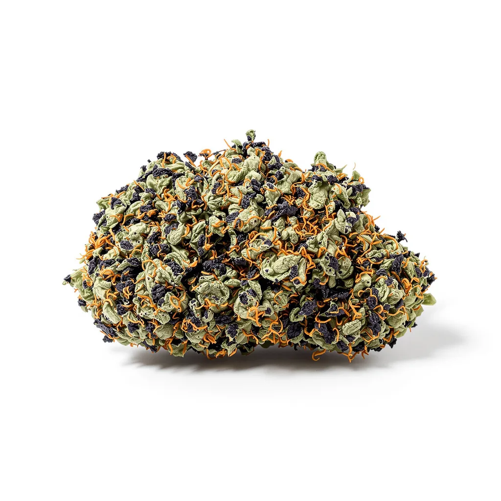 Buddha Tahoe 100% indica / 50% sativa flower with visible trichomes