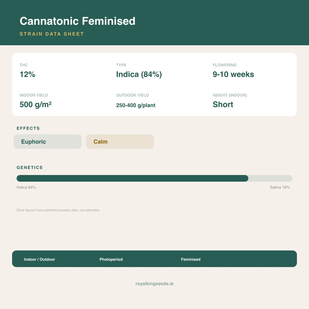 Cannatonic 84% indica / 16% sativa flower with visible trichomes