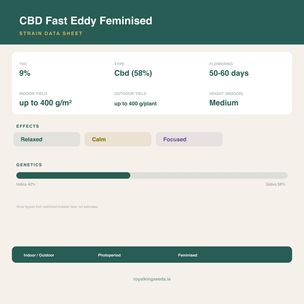 CBD Fast Eddy 42% indica / 58% sativa flower with visible trichomes