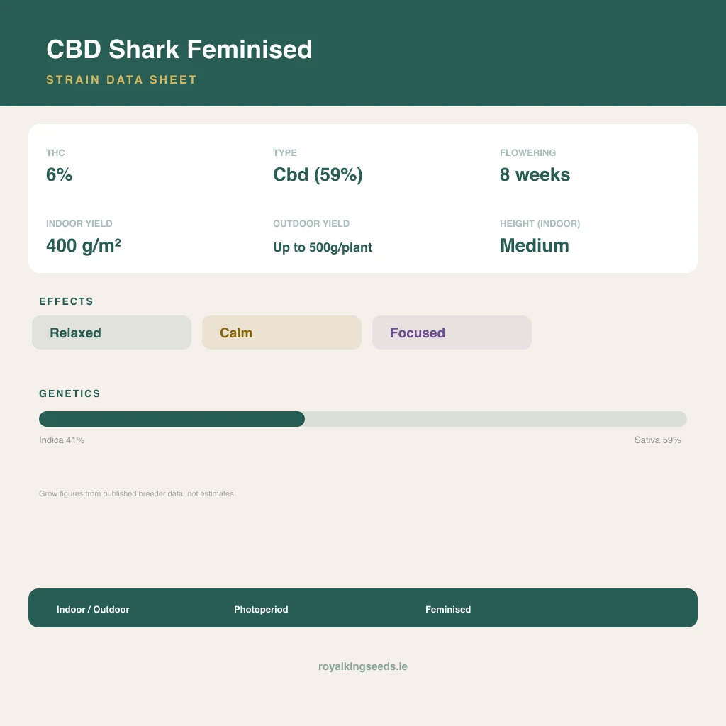 CBD Shark 41% indica / 59% sativa flower with visible trichomes