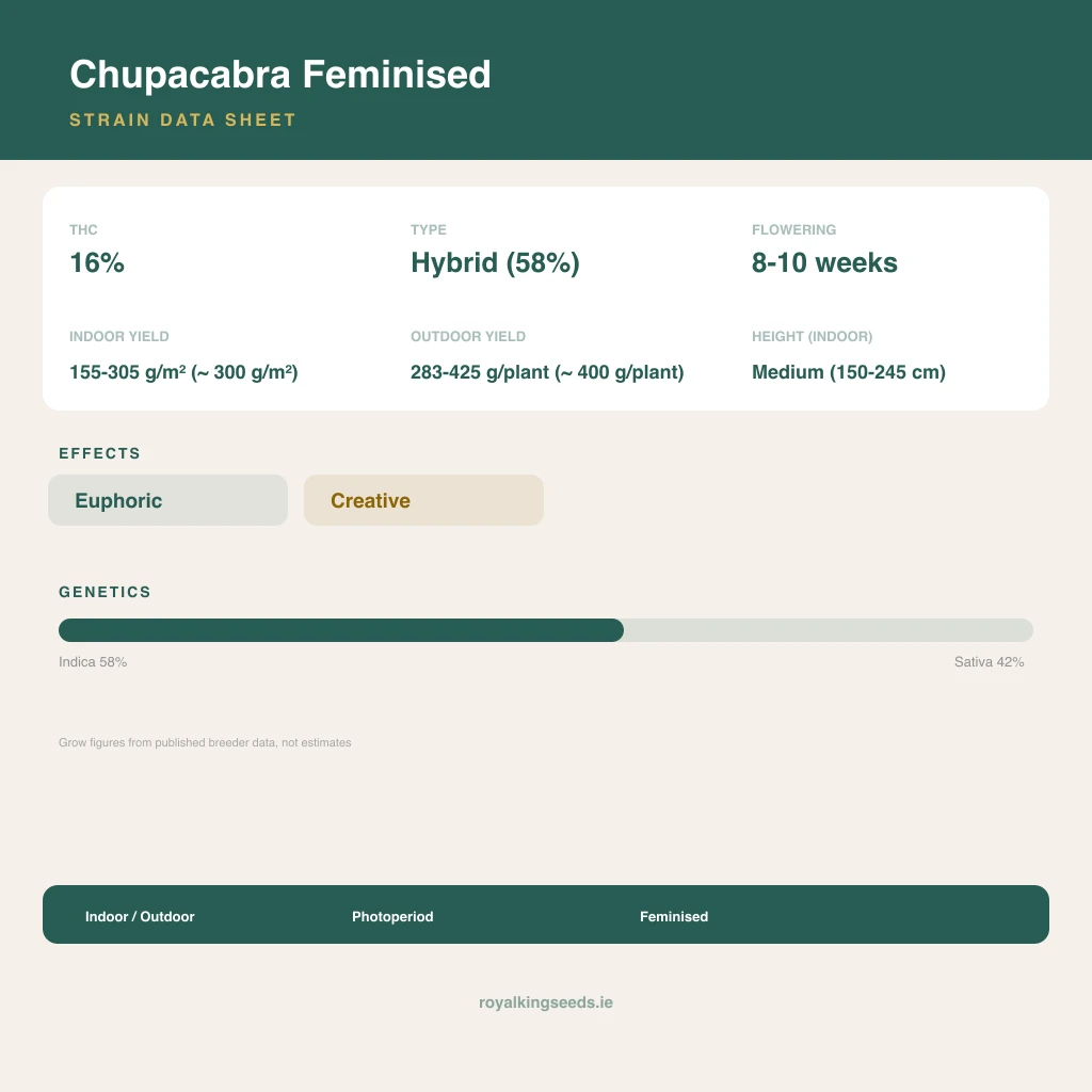Chupacabra 58% indica / 42% sativa flower with visible trichomes