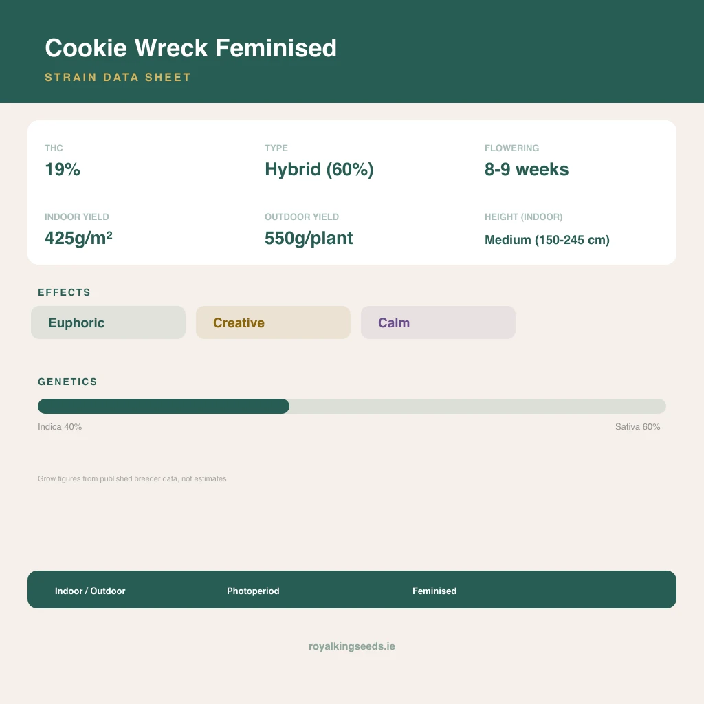 Cookie Wreck 40% indica / 60% sativa flower with visible trichomes