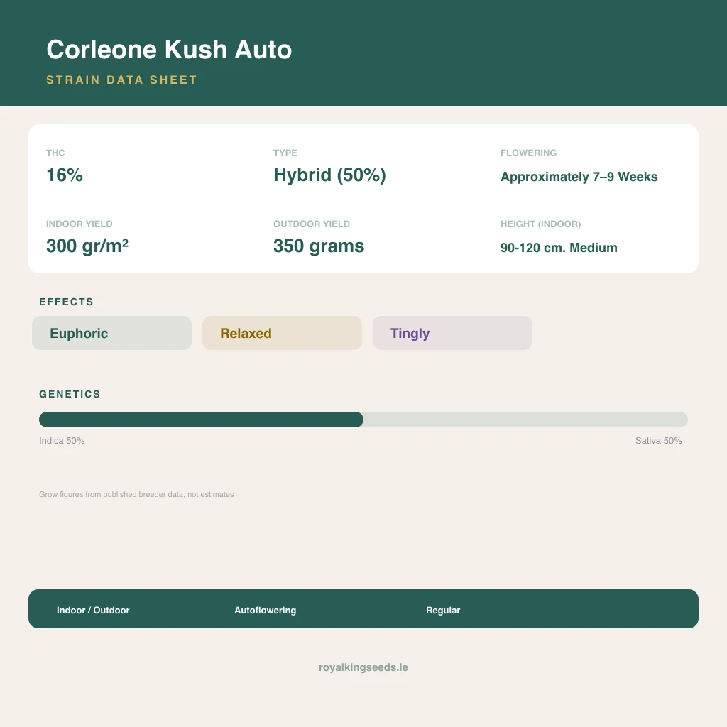 Corleone Kush 50% indica / 50% sativa flower with visible trichomes