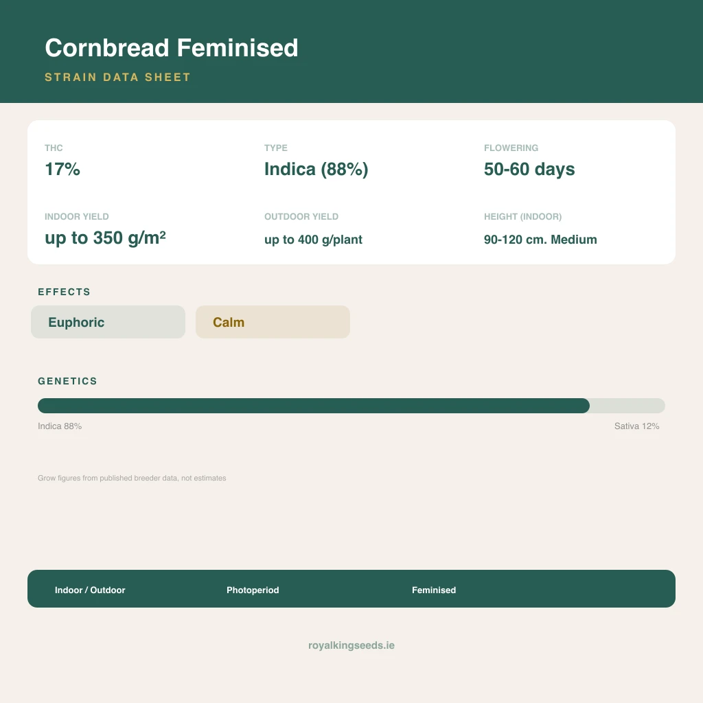 Cornbread 88% indica / 12% sativa flower with visible trichomes