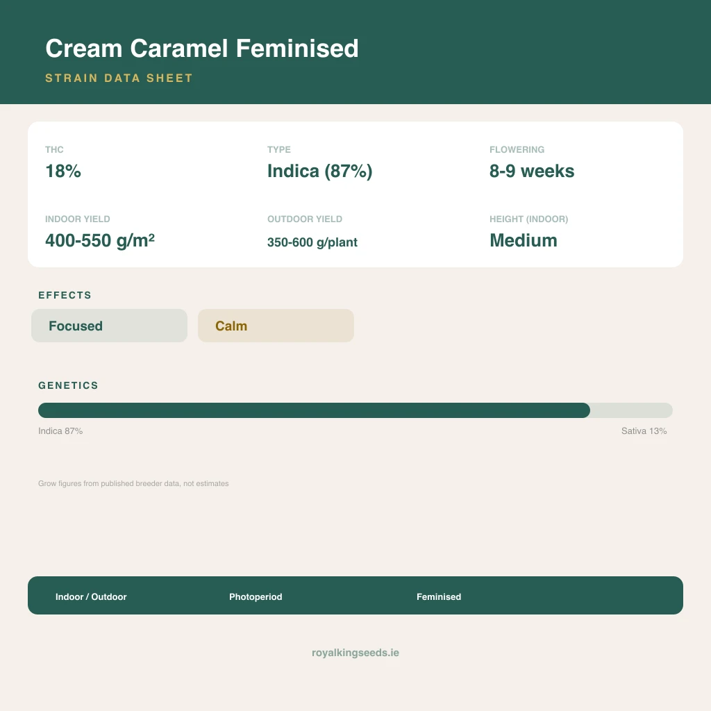 Cream Caramel 87% indica / 13% sativa flower with visible trichomes