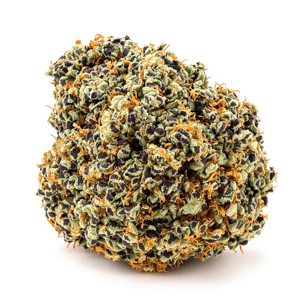 Critical Bilbo 72% indica / 28% sativa flower with visible trichomes