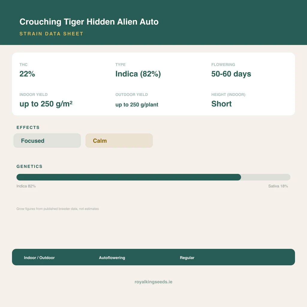 Crouching Tiger Hidden Alien 82% indica / 18% sativa flower with visible trichomes