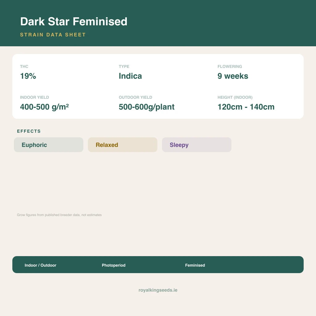 Dark Star 100% indica / 50% sativa flower with visible trichomes
