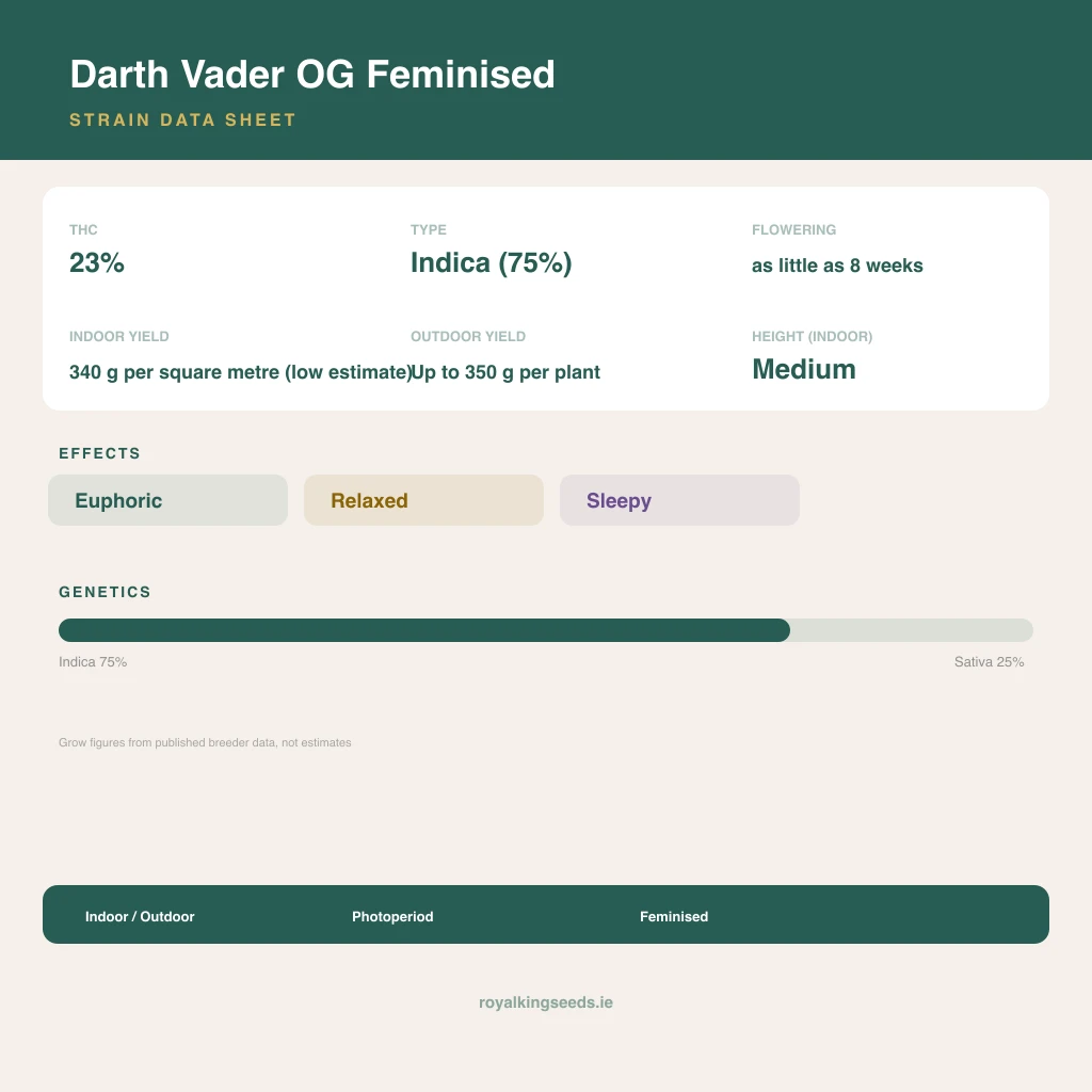 Darth Vader OG 75% indica / 25% sativa flower with visible trichomes