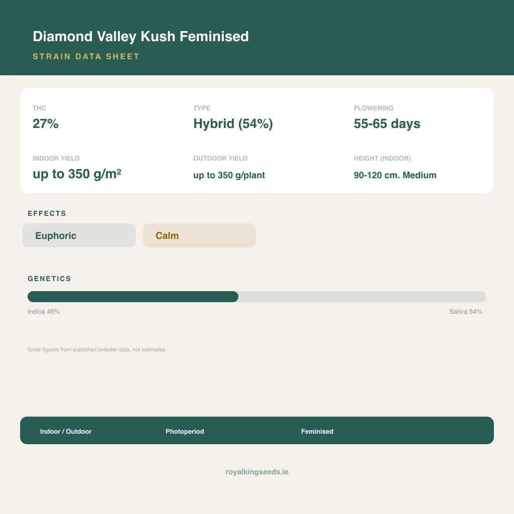 Diamond Valley Kush 46% indica / 54% sativa flower with visible trichomes