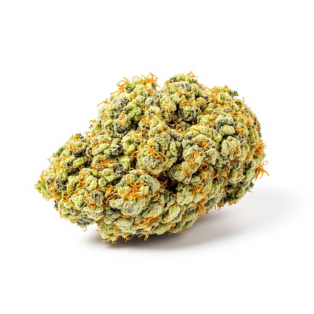 Dizzy OG 16% indica / 84% sativa flower with visible trichomes