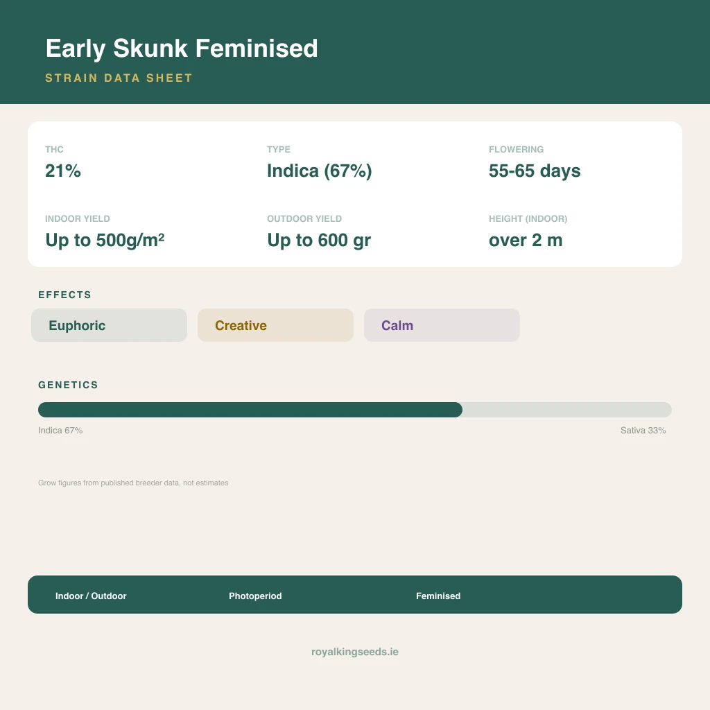 Early Skunk 67% indica / 33% sativa flower with visible trichomes