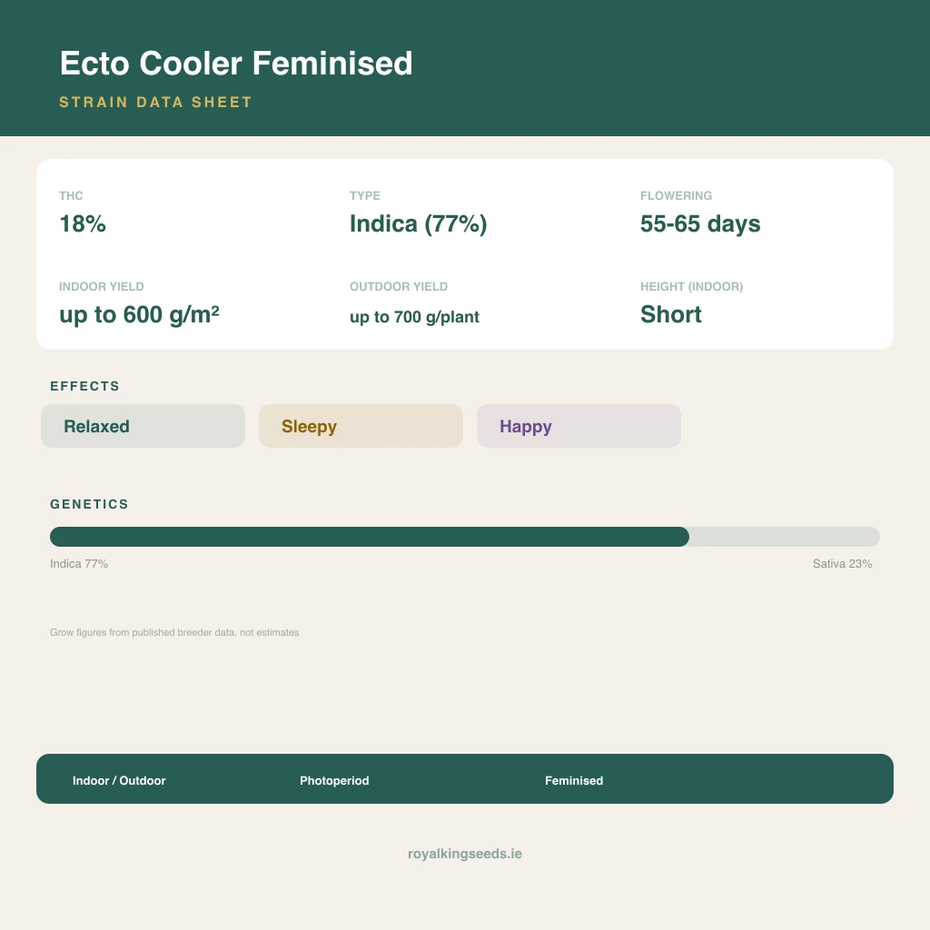 Ecto Cooler 77% indica / 23% sativa flower with visible trichomes