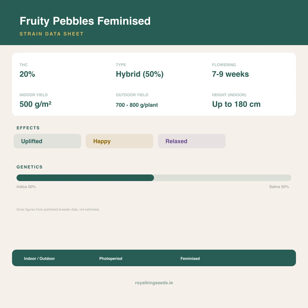 Fruity Pebbles 50% indica / 50% sativa flower with visible trichomes