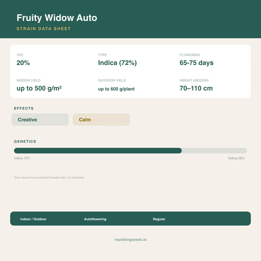 Fruity Widow 72% indica / 28% sativa flower with visible trichomes