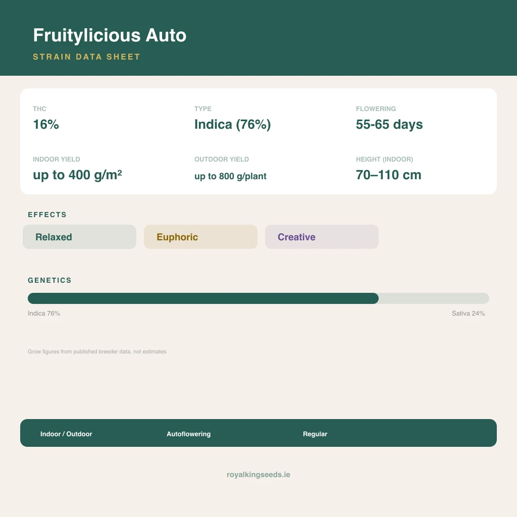 Fruitylicious 76% indica / 24% sativa flower with visible trichomes