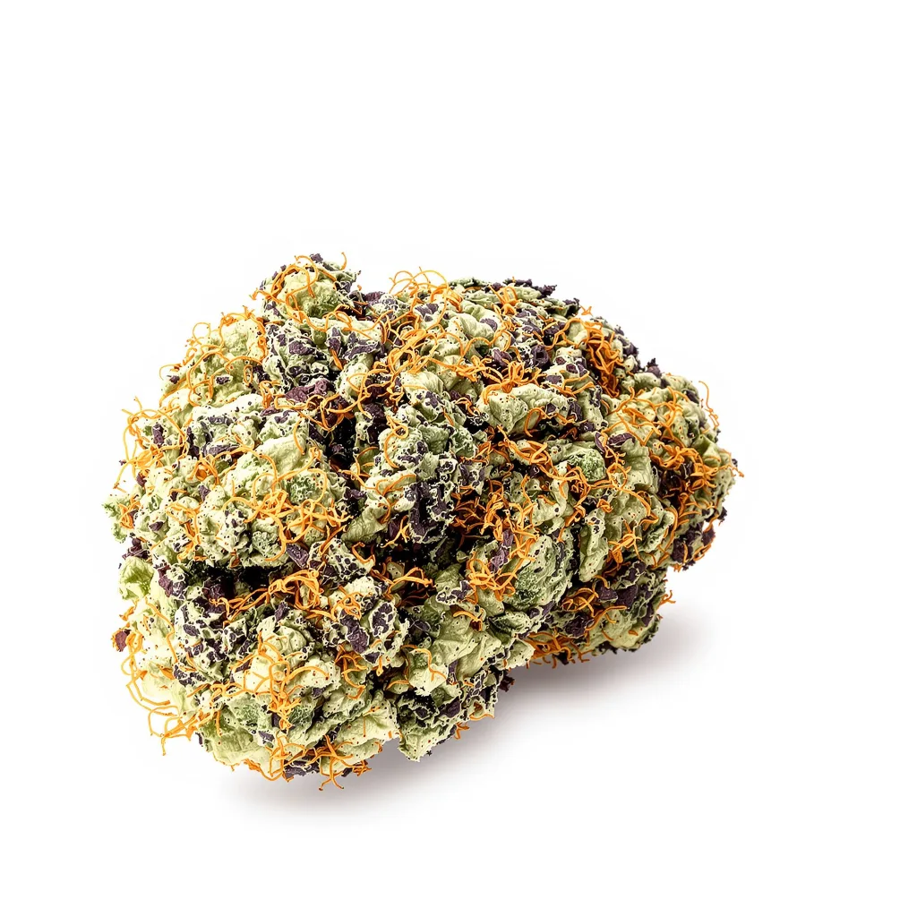 G13 Widow 65% indica / 35% sativa flower with visible trichomes