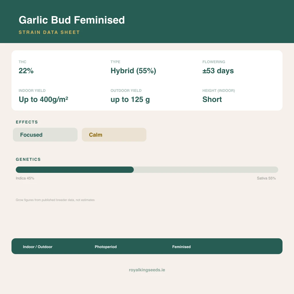 Garlic Bud 45% indica / 55% sativa flower with visible trichomes