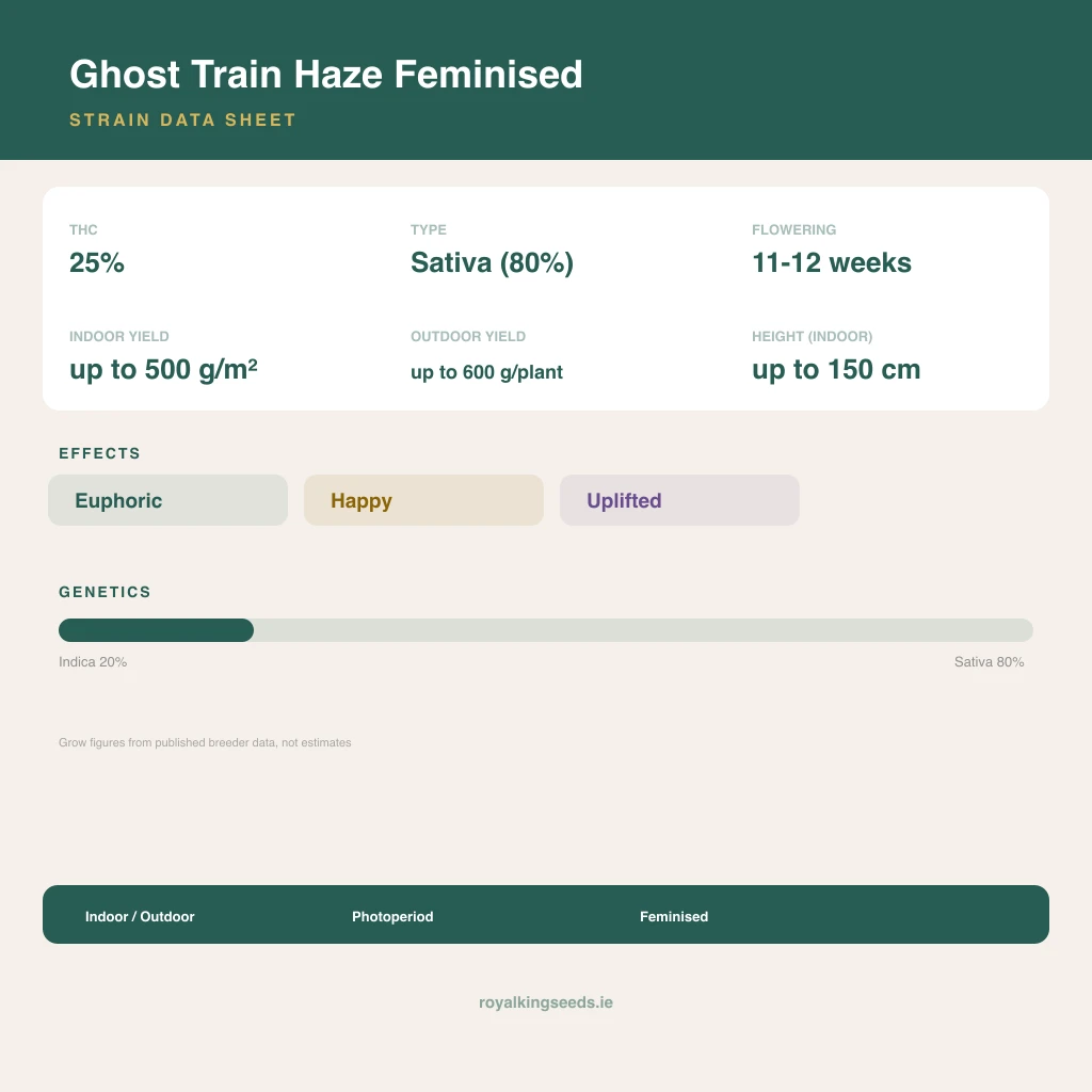 Ghost Train Haze 20% indica / 80% sativa flower with visible trichomes