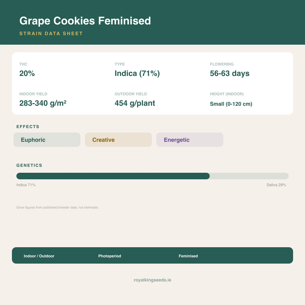 Grape Cookies 71% indica / 29% sativa flower with visible trichomes