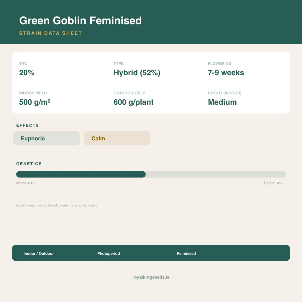 Green Goblin 48% indica / 52% sativa flower with visible trichomes