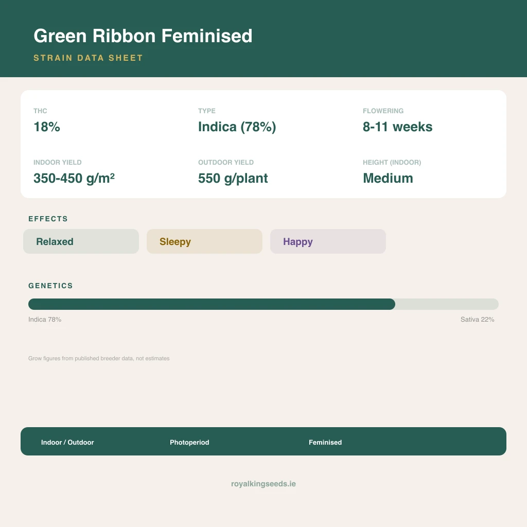 Green Ribbon 78% indica / 22% sativa flower with visible trichomes