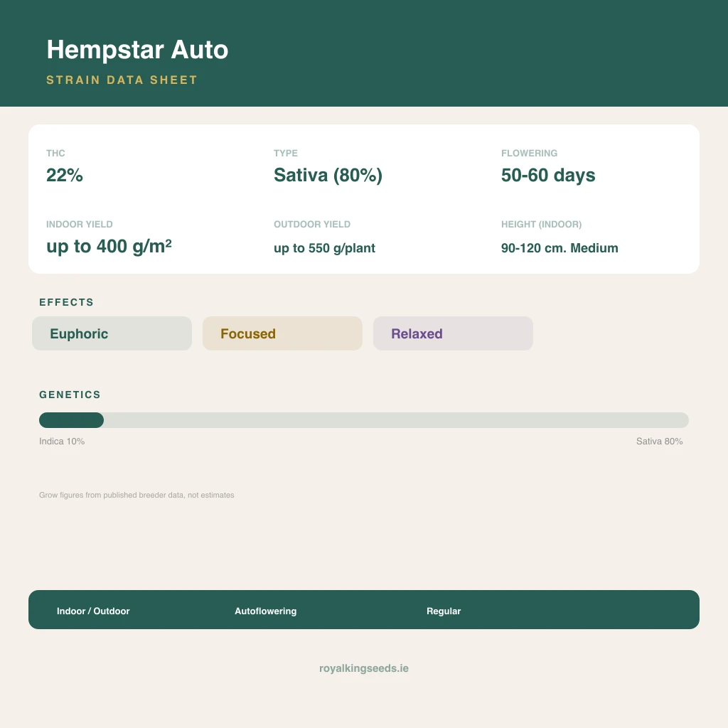 Hempstar 10% indica / 80% sativa flower with visible trichomes