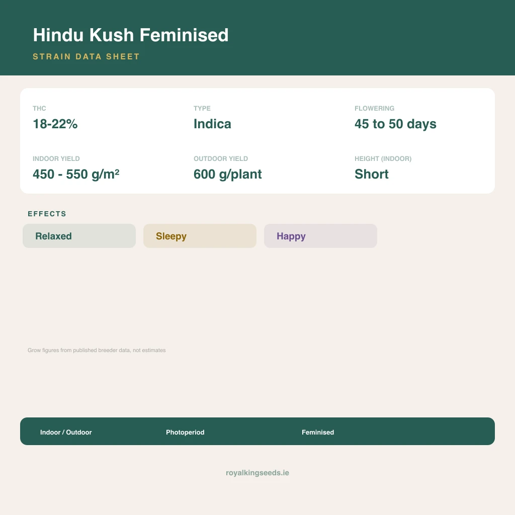 Hindu Kush 100% indica / 50% sativa flower with visible trichomes