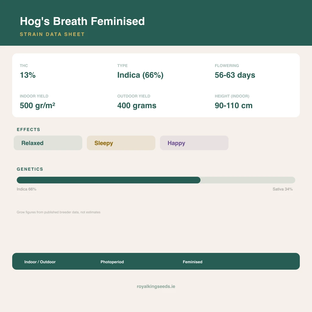 Hog's Breath 66% indica / 34% sativa flower with visible trichomes