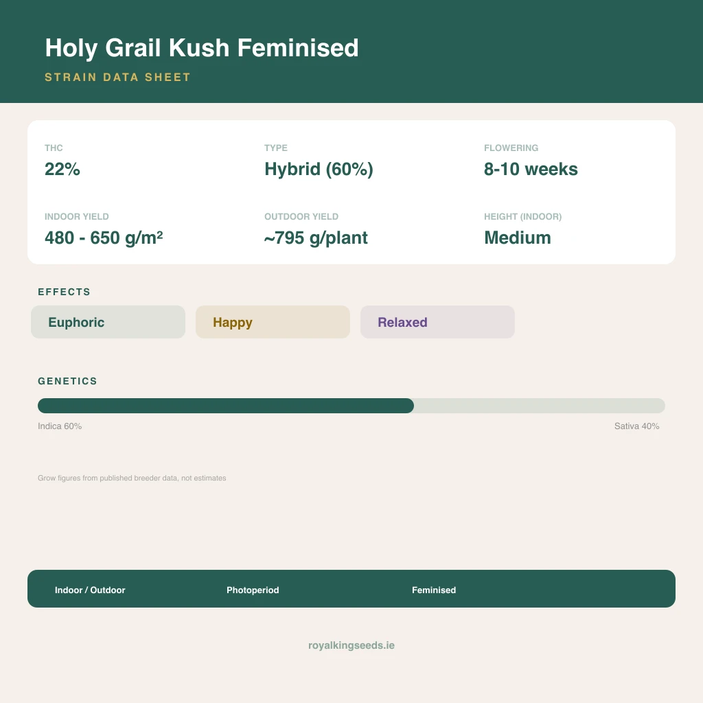 Holy Grail Kush 60% indica / 40% sativa flower with visible trichomes
