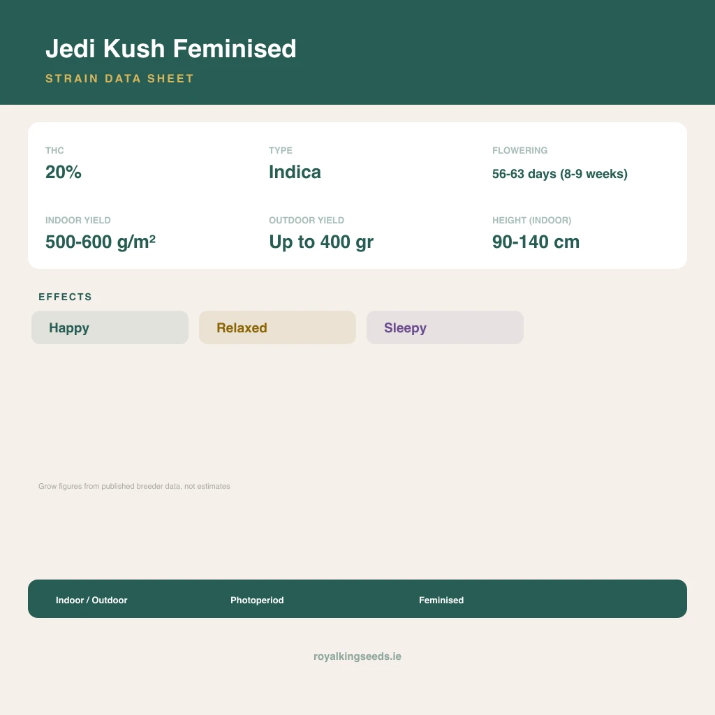 Jedi Kush 90% indica / 50% sativa flower with visible trichomes