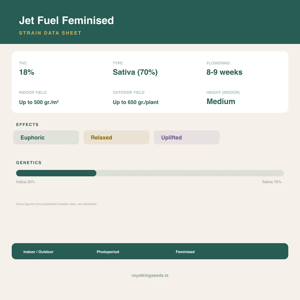 Jet Fuel 30% indica / 70% sativa flower with visible trichomes