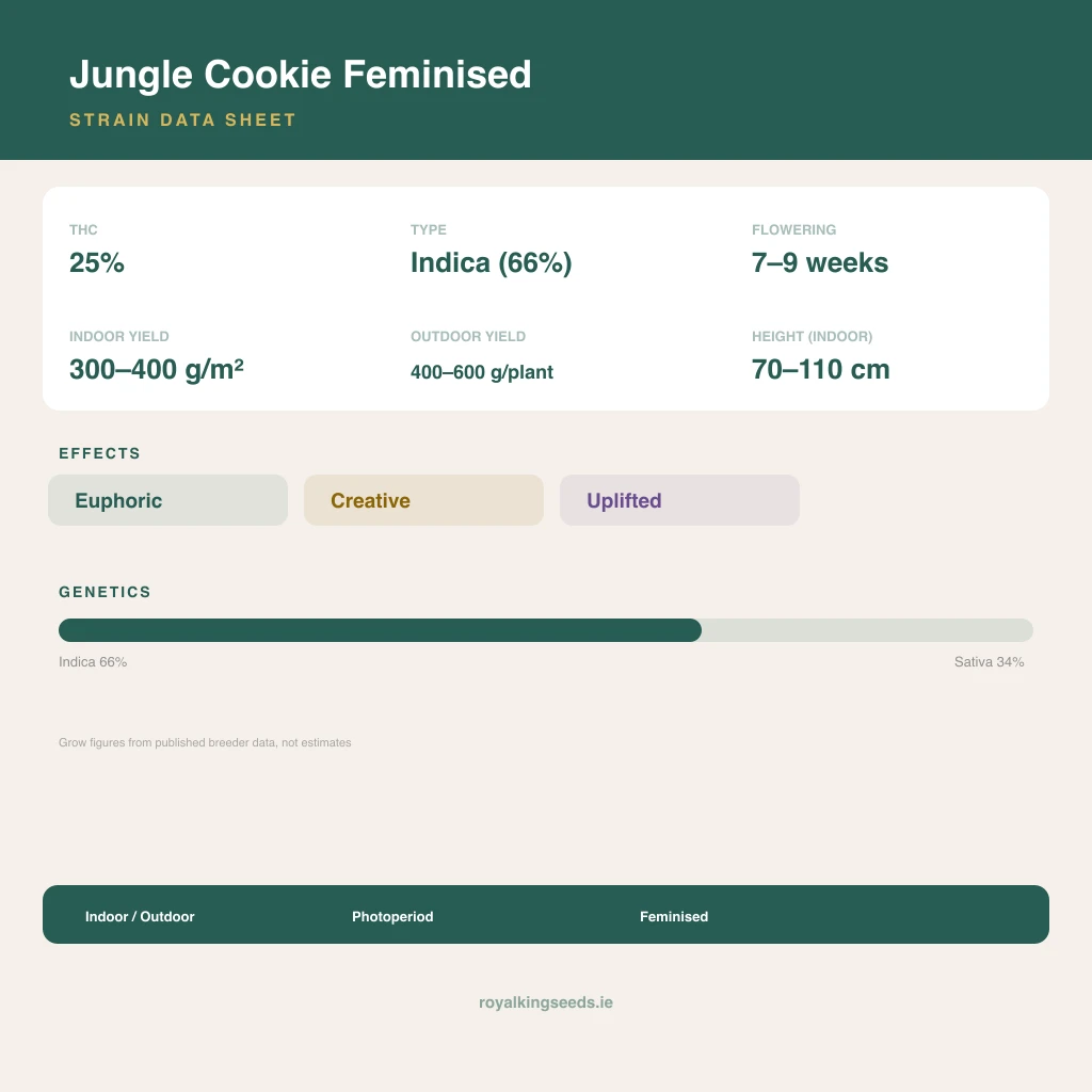 Jungle Cookie 66% indica / 34% sativa flower with visible trichomes