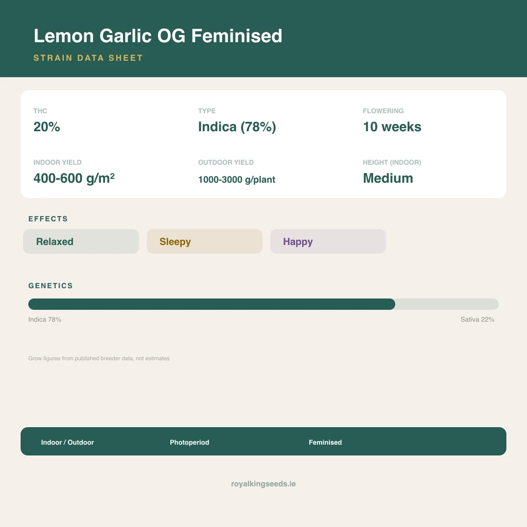 Lemon Garlic OG 78% indica / 22% sativa flower with visible trichomes