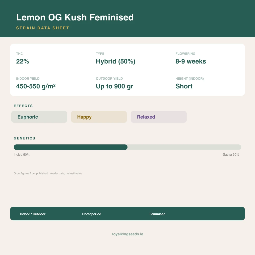 Lemon OG Kush 50% indica / 50% sativa flower with visible trichomes