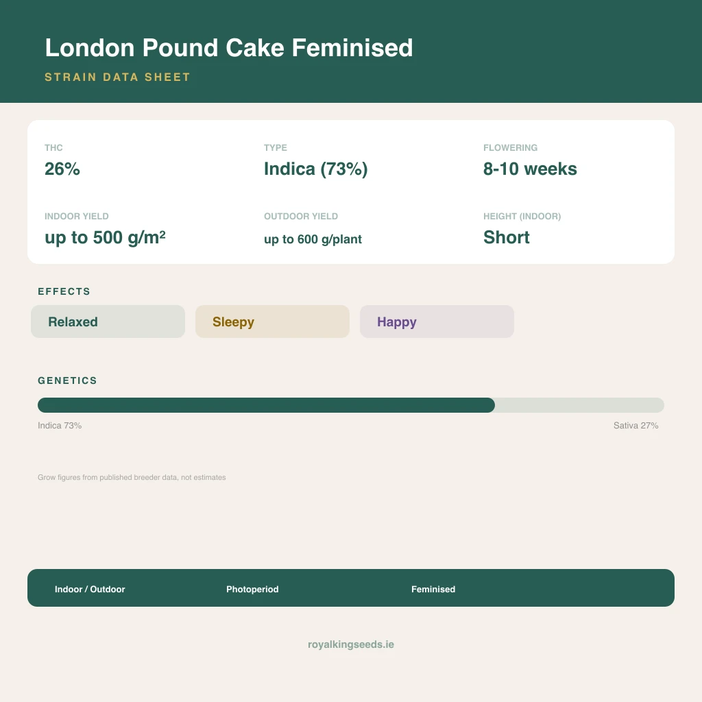 London Pound Cake 73% indica / 27% sativa flower with visible trichomes