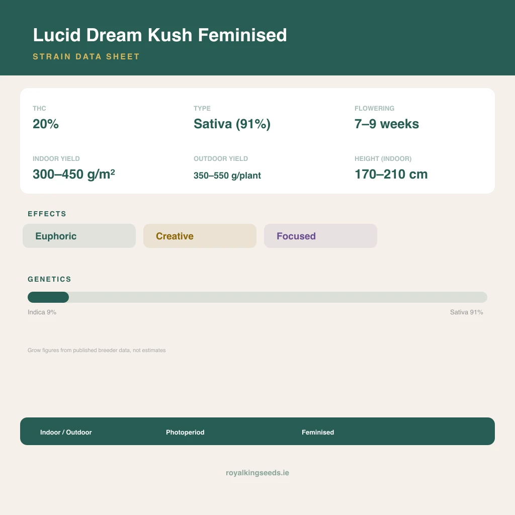 Lucid Dream Kush 9% indica / 91% sativa flower with visible trichomes