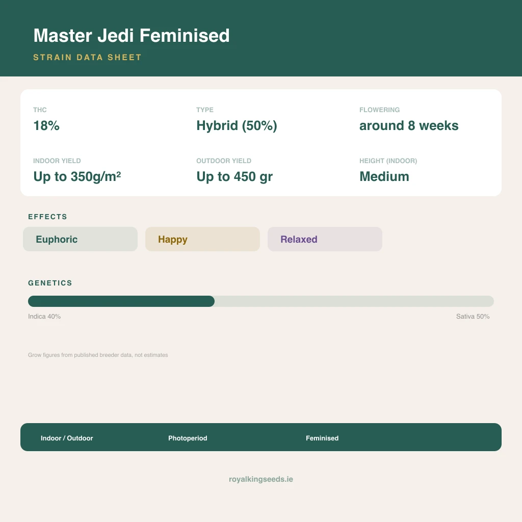Master Jedi 40% indica / 50% sativa flower with visible trichomes