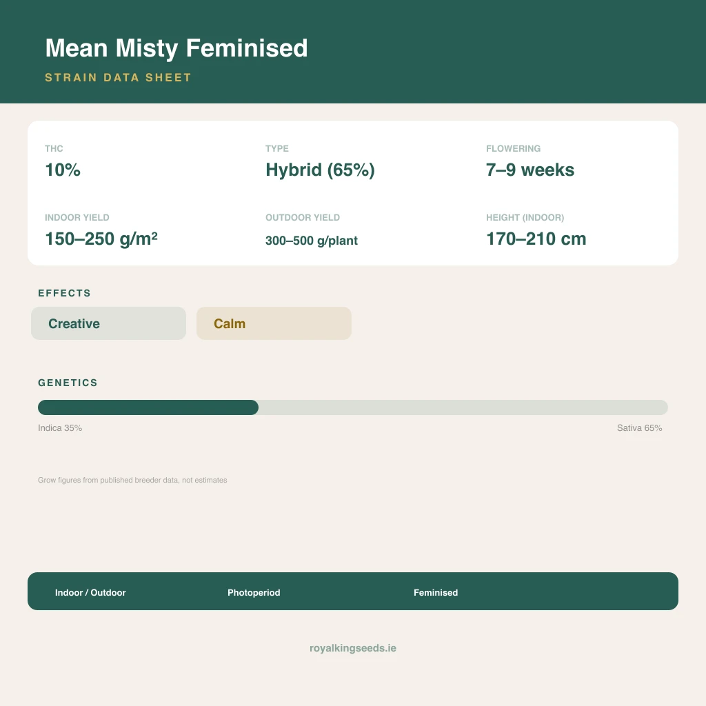 Mean Misty 35% indica / 65% sativa flower with visible trichomes