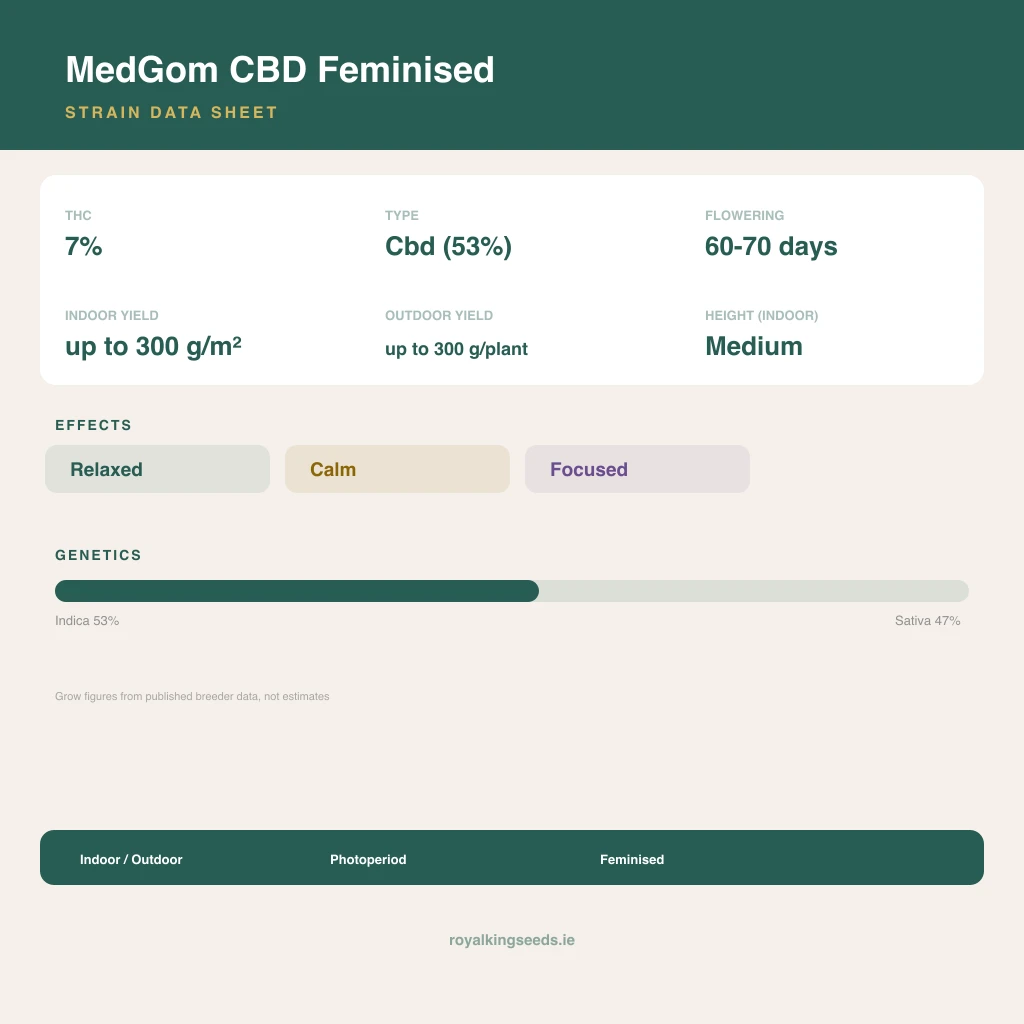 MedGom CBD 53% indica / 47% sativa flower with visible trichomes