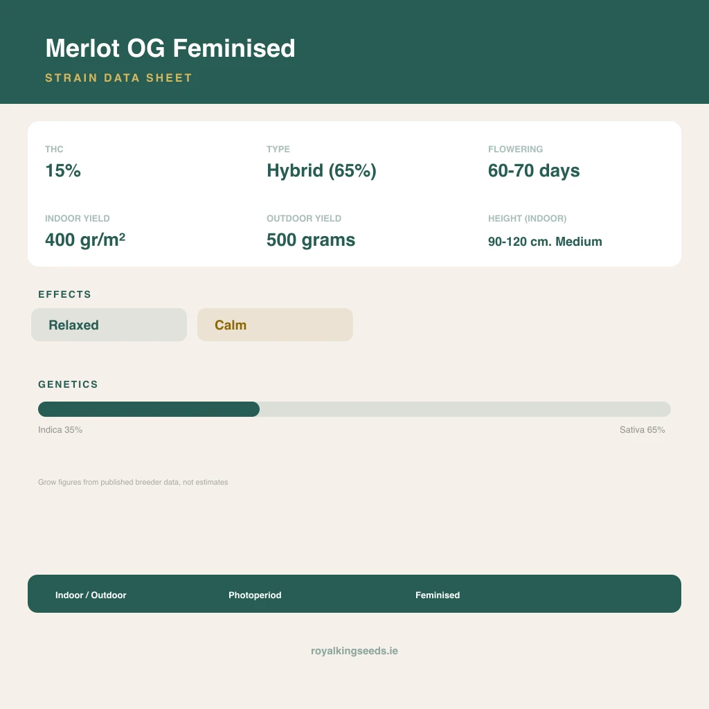 Merlot OG 35% indica / 65% sativa flower with visible trichomes