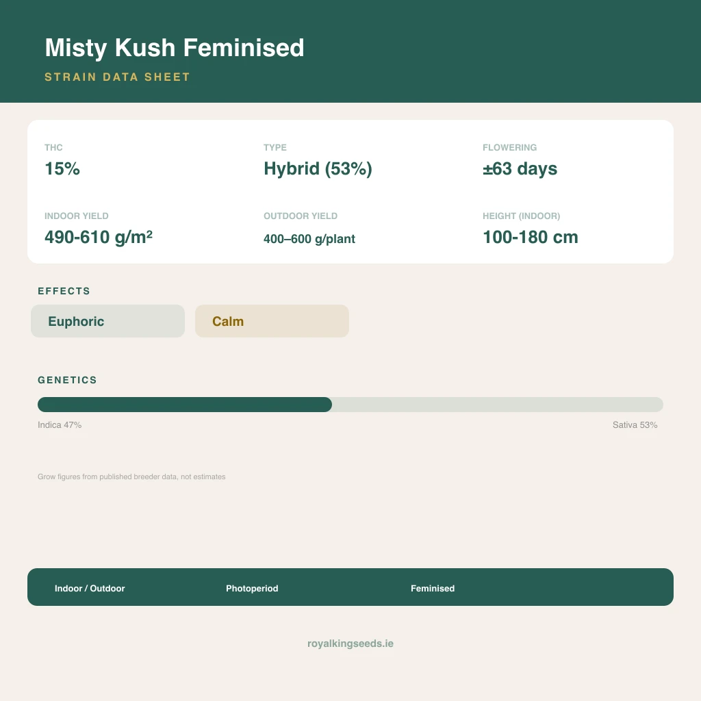 Misty Kush 47% indica / 53% sativa flower with visible trichomes