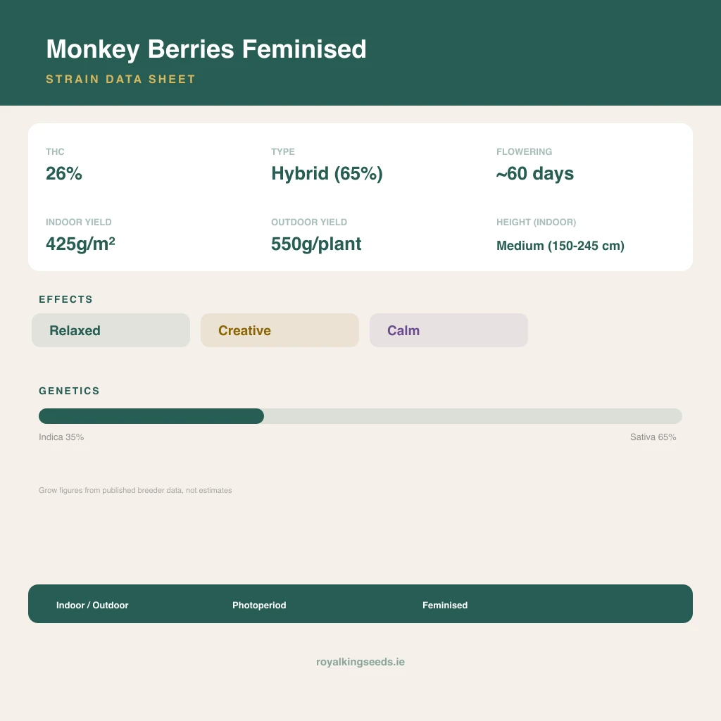 Monkey Berries 35% indica / 65% sativa flower with visible trichomes