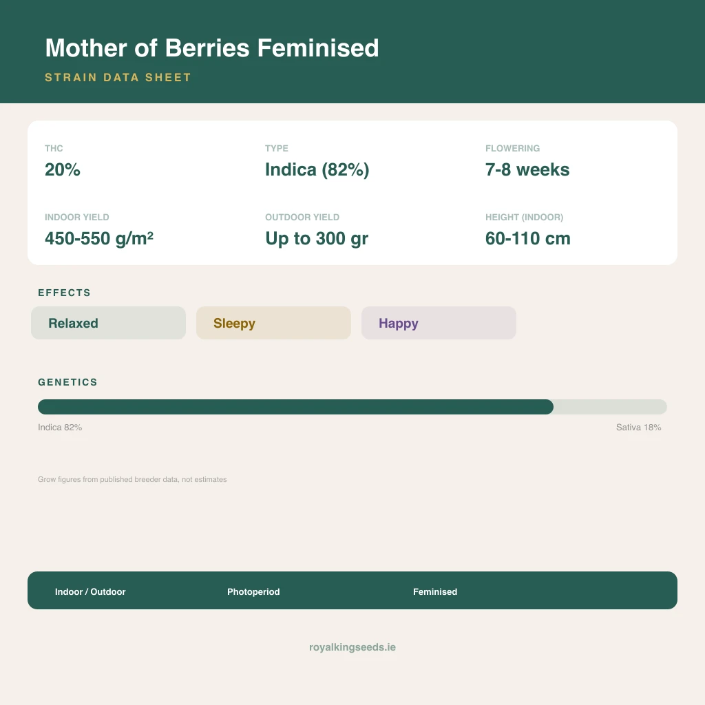 Mother of Berries 82% indica / 18% sativa flower with visible trichomes